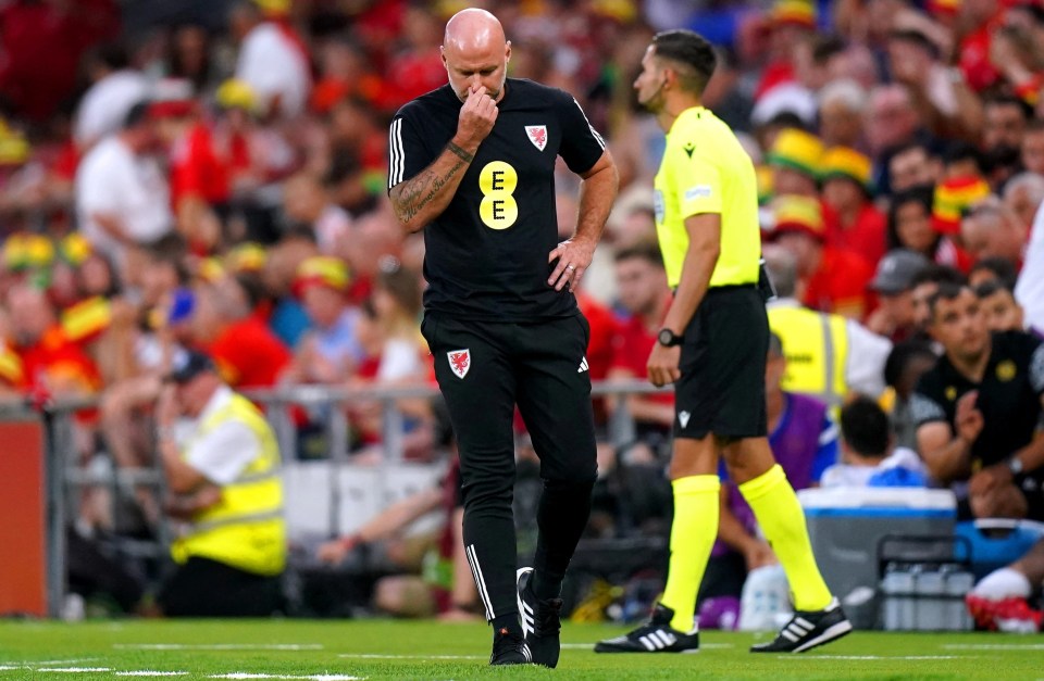 A disappointed Wales boss Rob Page watched on from the touchline