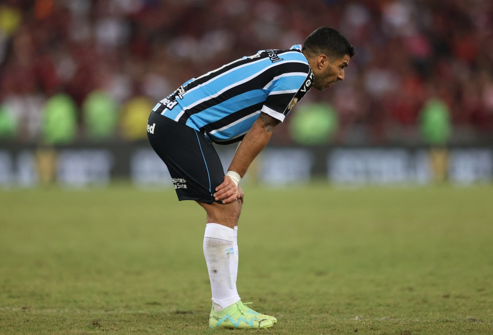 Luis Suarez is set to end his career due to serious knee pain