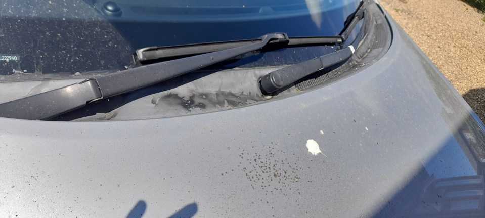 The woman claims that the car was absolutely filthy after leaving it with a Meet and Greet airport parking firm