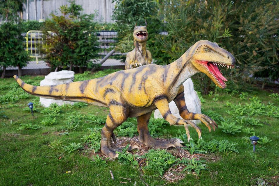 Wingham Wildlife Park has 22 dinosaurs, alongside hundreds of animals