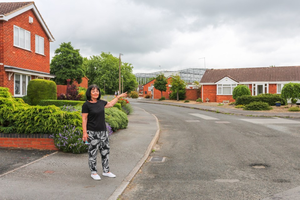 June Roberts, 69, a retired hairdresser, said: "I think it's destroyed the area"