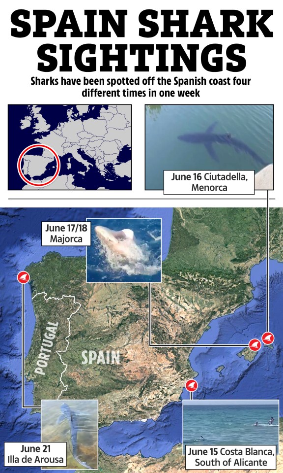 The four shark sightings took place across the Spanish coastline