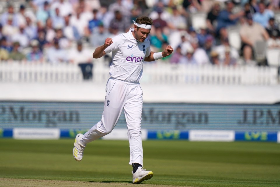 England's Stuart Broad celebrates taking the wicket of Ireland