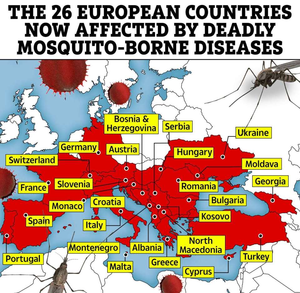 The 26 European countries where disease-ridden mosquitoes now reside Credit:  European Centre for Disease Prevention