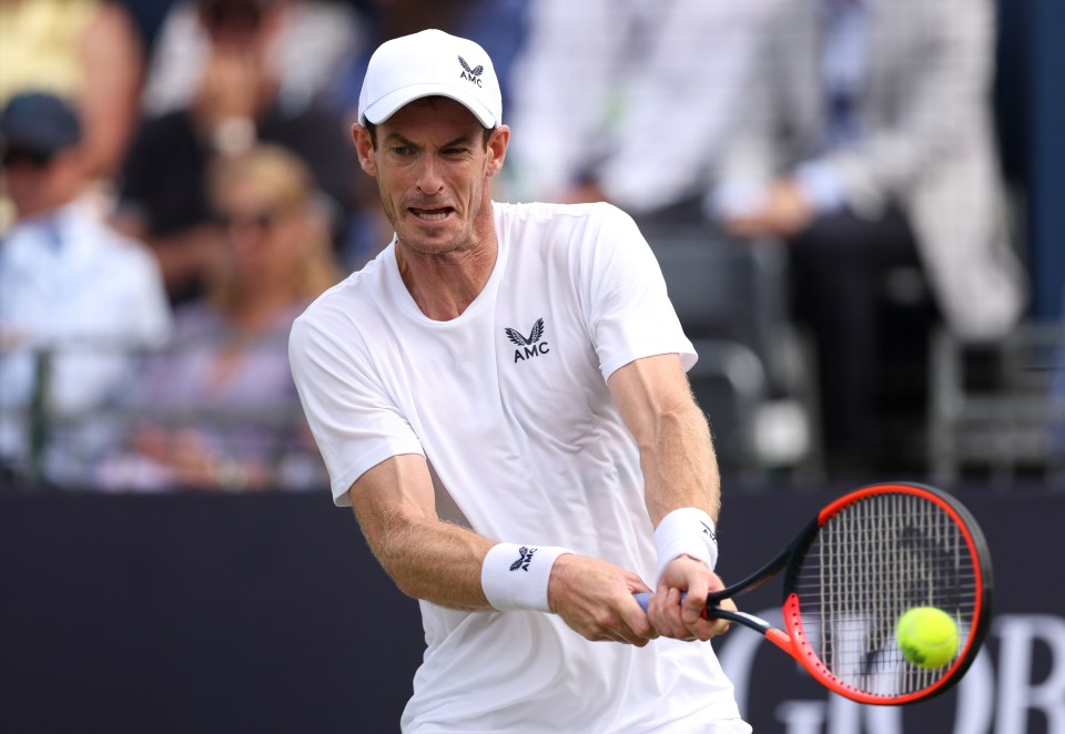 Andy Murray has said he would have been seen as failure without his Wimbledon titles