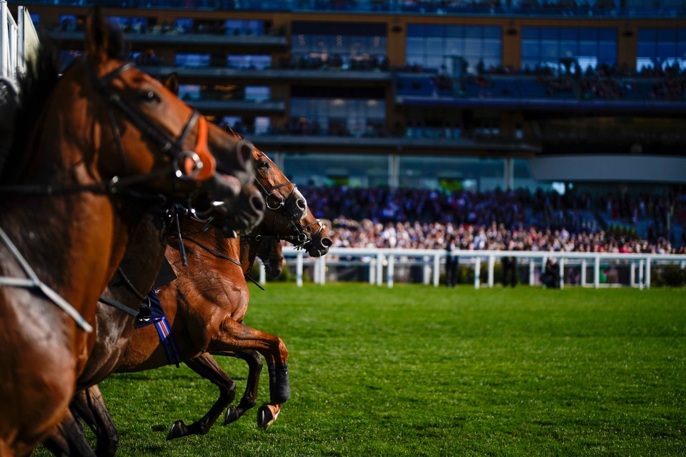 Royal Ascot: Get £20 in free bets and extra £10 casino bonus plus money back as cash offer