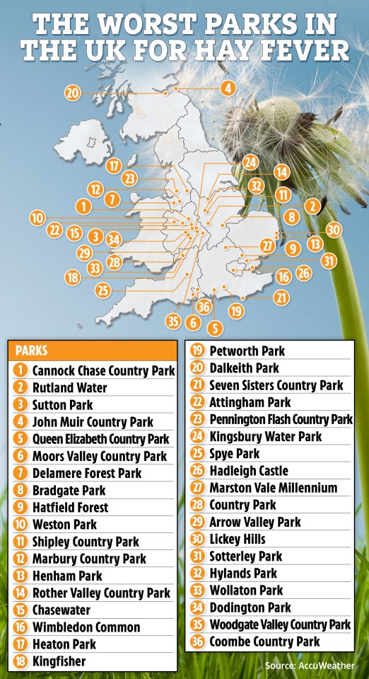 Make sure your local green space isn't forecast to be a hay fever hot spot this weekend