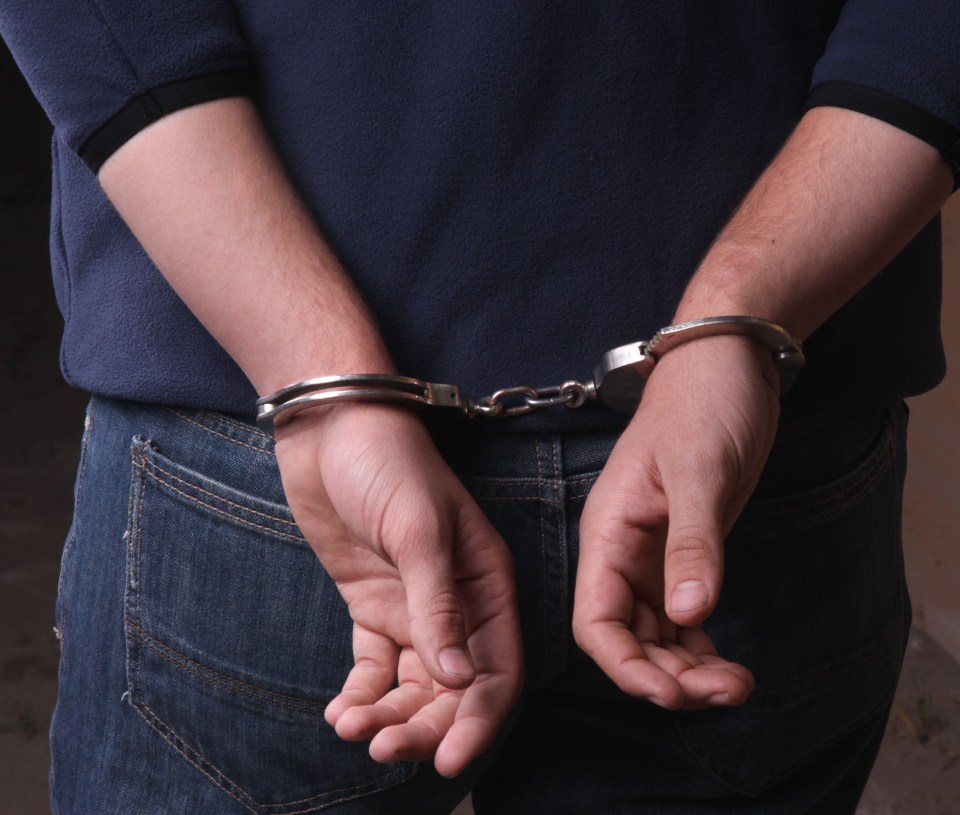 A lawyer has revealed what happens when you're arrested for shoplifting (file image)