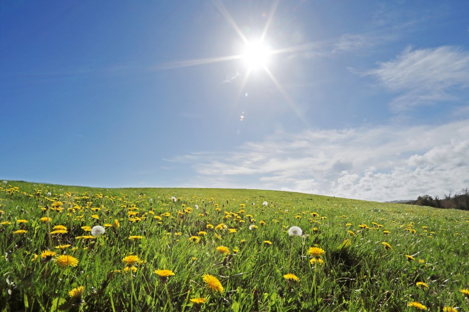 The season is officially marked by the start of the Summer solstice which falls on the 21st June this year