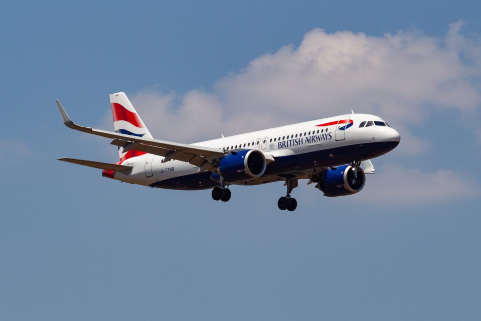 Boris was on flight BA384 to Cairo when he received the killer email