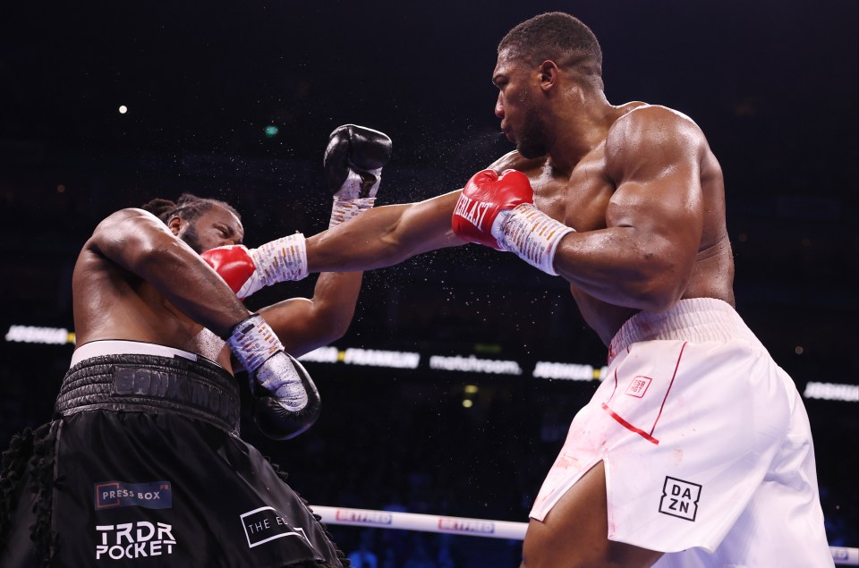 Joshua has snubbed the fight in order to press on with plans to fight Deontay Wilder