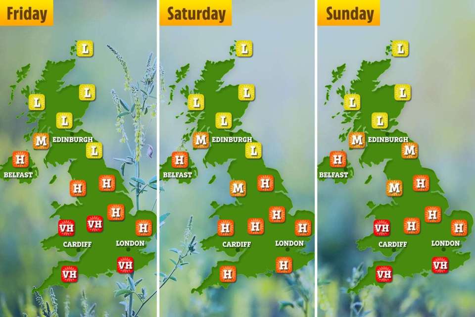 The maps show which areas in the UK have higher levels of pollen over the next few days