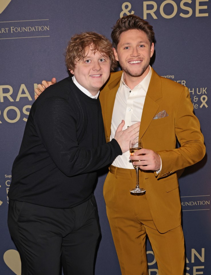 Niall Horan says he and Lewis Capaldi are 'better drinkers than writers'