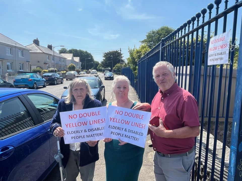 Karen (pictured left with neighbours Helen and Terence Spivey) is organising weekly protests on the road and has made signs