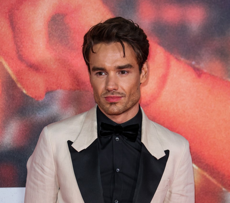 Fans said the man looked like One Direction star Liam Payne