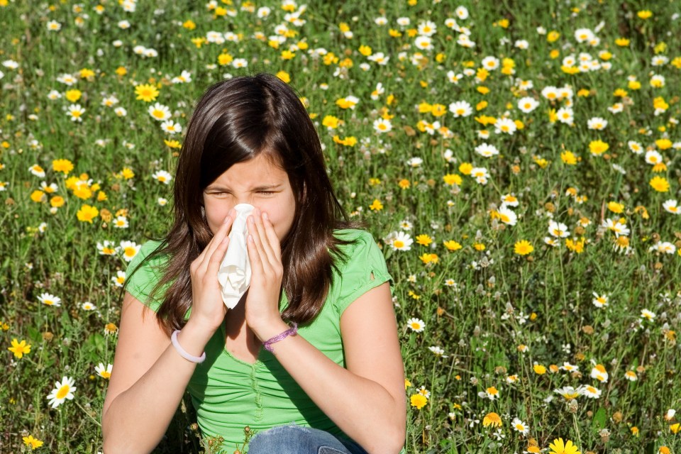 Hay fever misery for many might finally be about to ease, according to experts