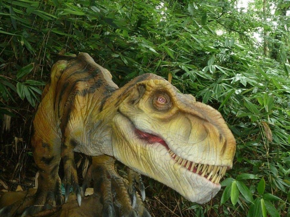 Combe Martin Wildlife and Dinosaur Park has a life-sized T-Rex and dinosaur museum