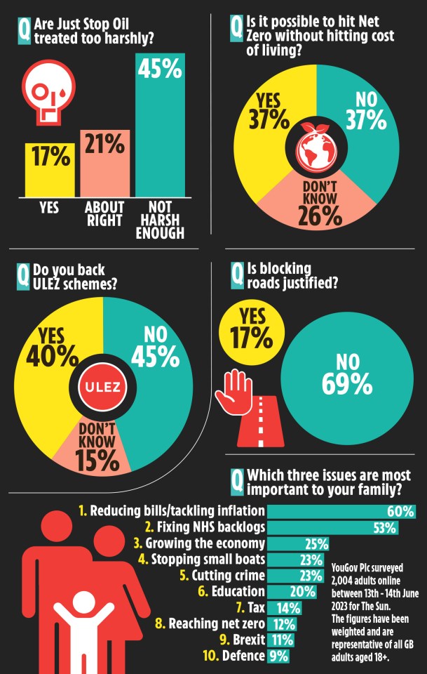 Nearly half of those surveyed said Just Stop Oil activists need to be treated more harshly