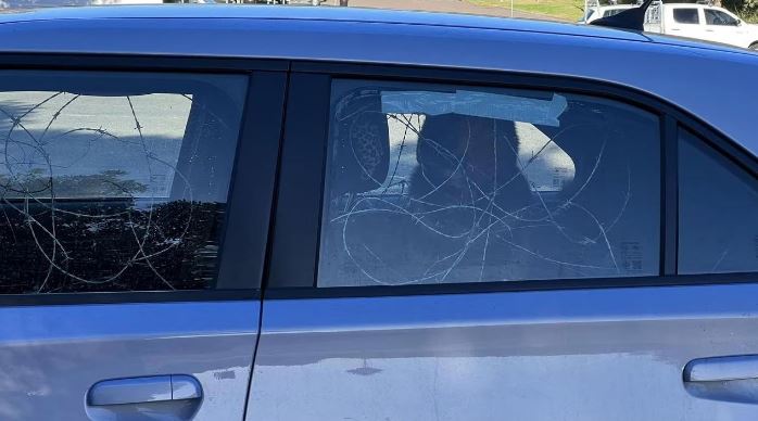 The dog is seen locked in the car full of barbed wire