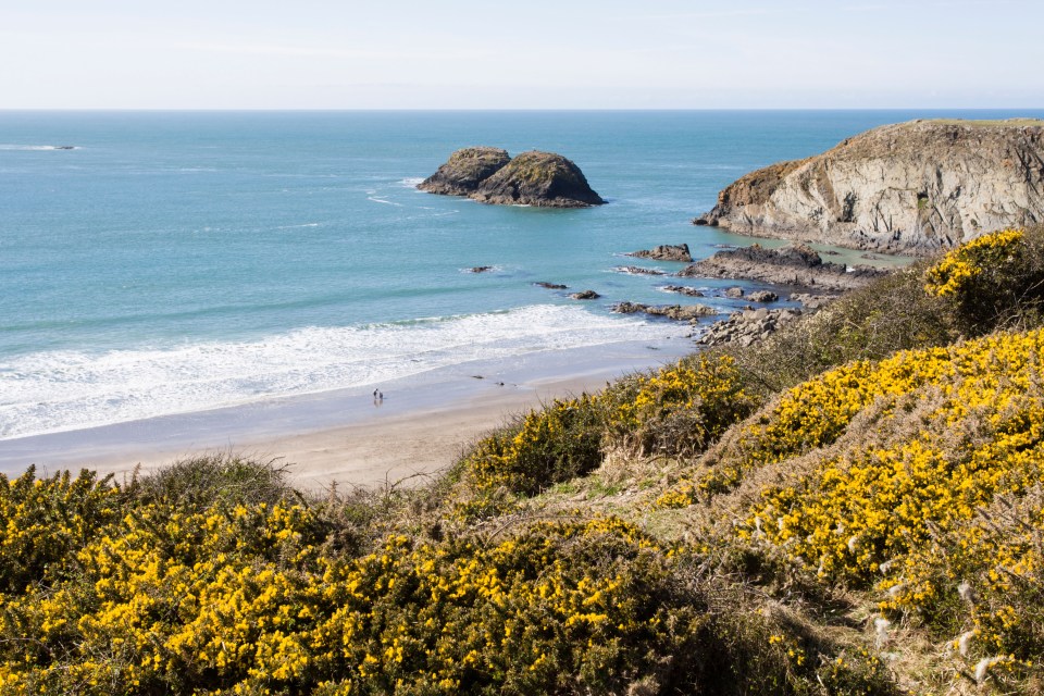 Traeth Llyfn Beach near Ynys Barry in Pembrokeshire