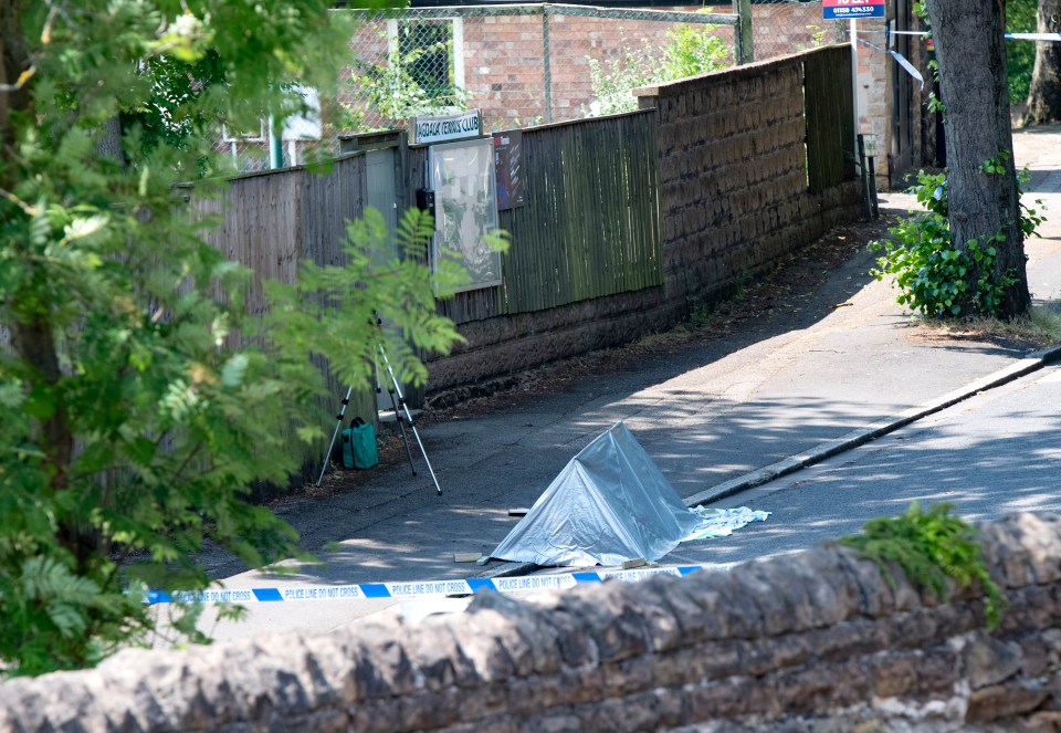 Around an hour later, more than two miles away in Magdala Road, a van driver was stabbed to death and his vehicle stolen