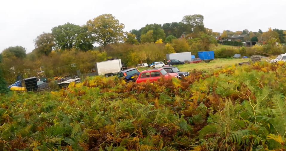 A man has discovered a hoard of Classic Minis abandoned in a forest