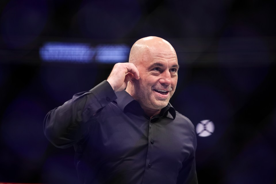 Gypsy King Fury has branded Rogan a 's**tbag' for stirring up the fight