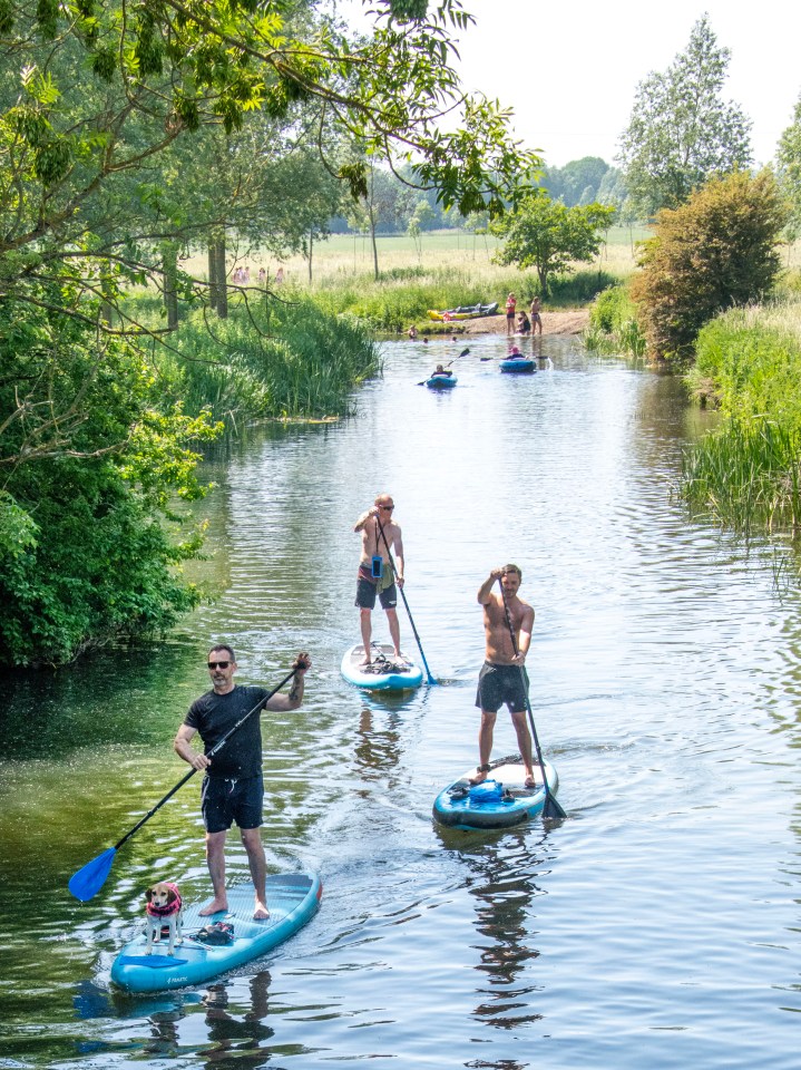 Paddle boarders keep cool in Chelmsford, Essex