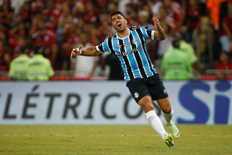 Luis Suarez has told Gremio he wants to retire