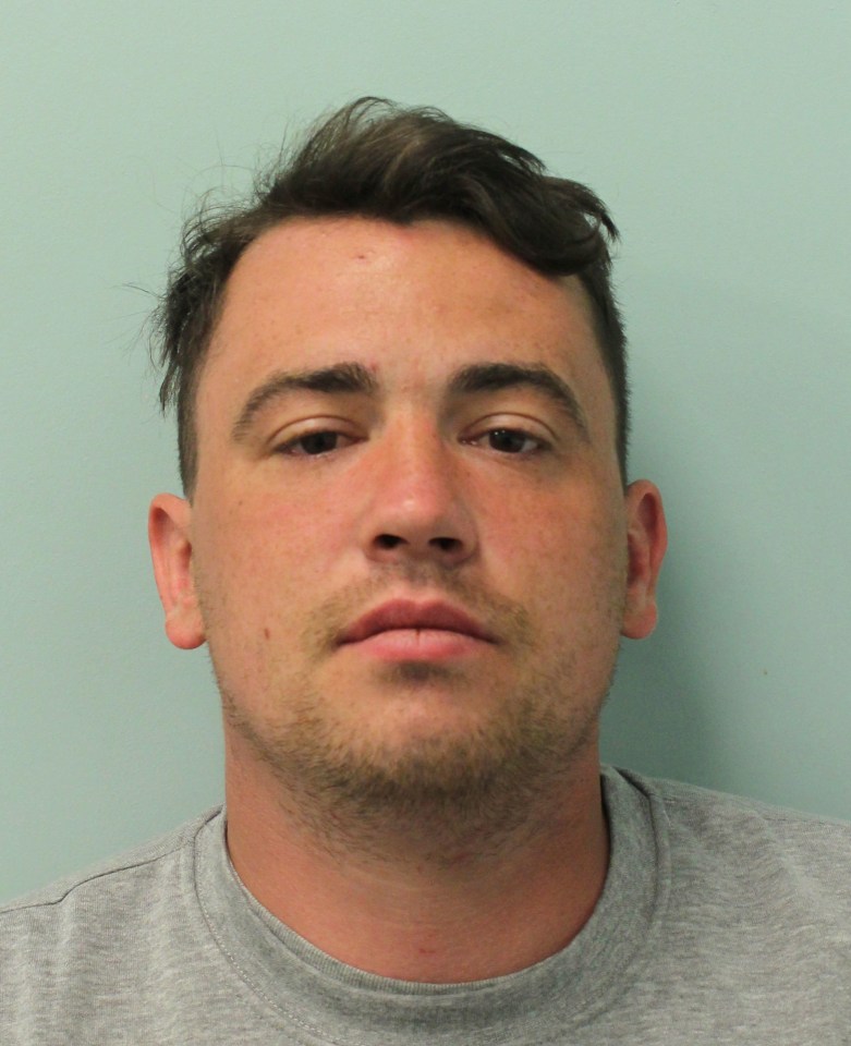 Jordan McSweeney was jailed for life at the Old Bailey