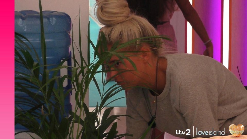 Molly-Mae spied on Tommy and Maura through a plant