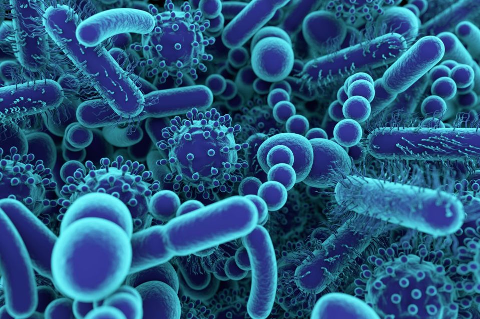 Probiotics are live bacteria and yeasts touted as having various health benefits