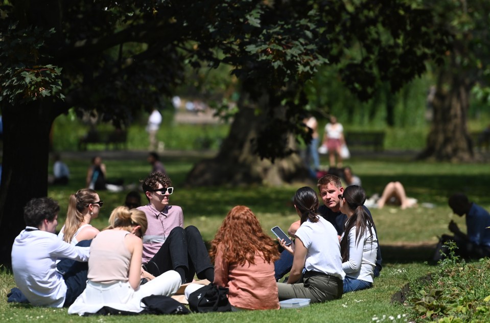 Groups of sun lovers swarmed to St James Park in London