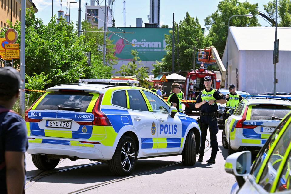 The accident happened at the Grona Lund amusement park