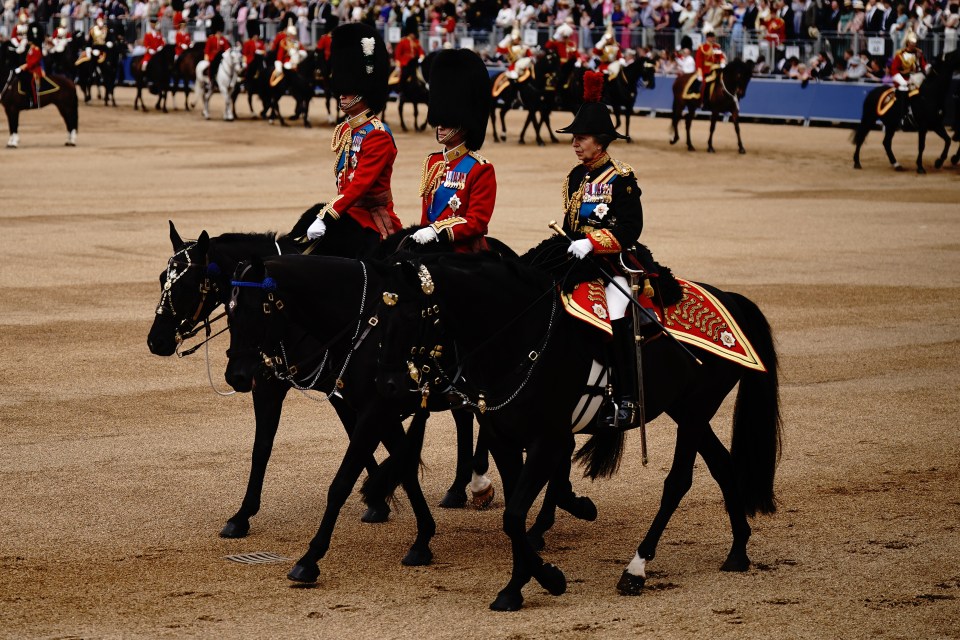 Trooping the Colour has marked the official birthday of the British monarch for more than 260 years