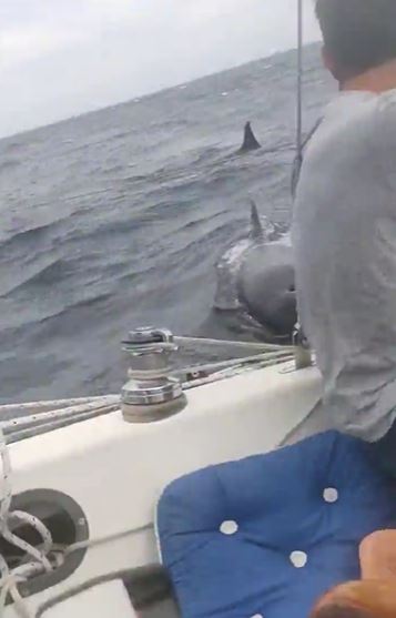 Lima and his boat mate were terrified