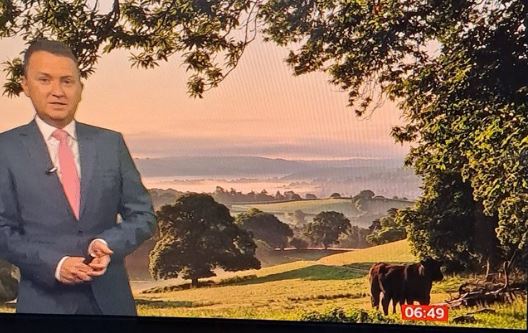 BBC Breakfast fans were distracted by many things this morning including the view behind Matt