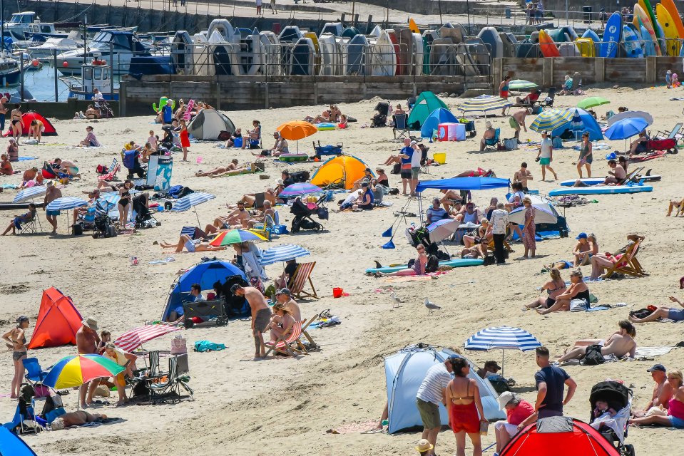 Sunbathers bask in the sunshine at Lyme Regis in Dorset