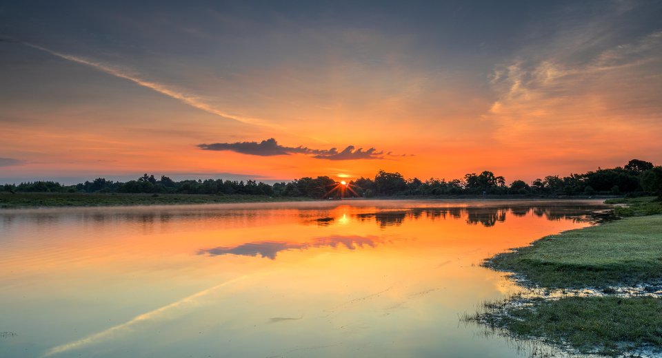 Hatchet Pond in the New Forest, offers some of the some of the rarest wetland plants and freshwater animals in the UK