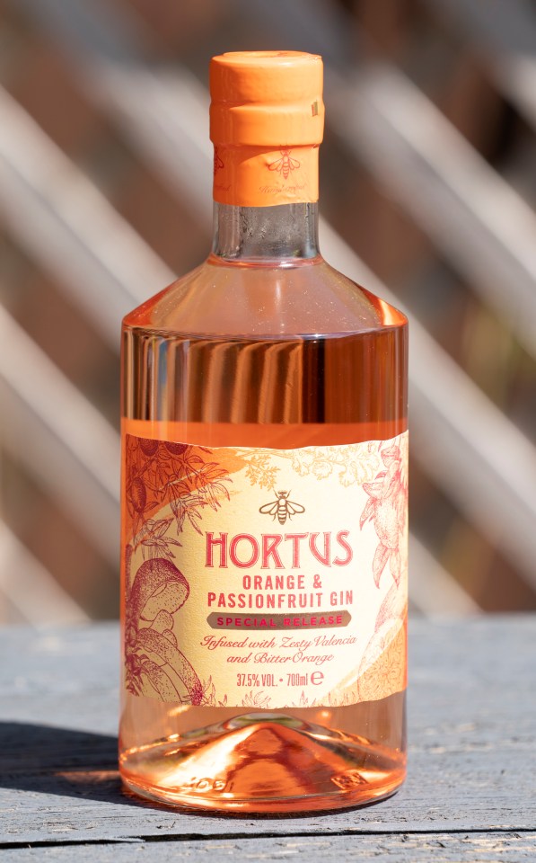 Hortus Orange & Passionfruit is a fantastic gin for a very low price