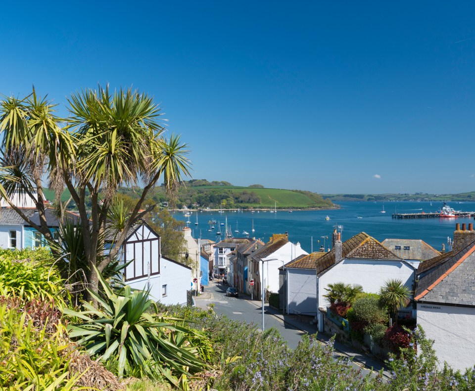 Locals of Falmouth, Cornwall, say they are being squeezed out of the housing market by second homes and Airbnbs