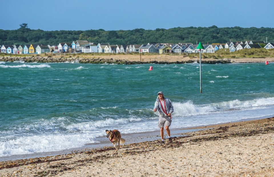 A dogwalker strolls along the beach in Dorset on Saturday