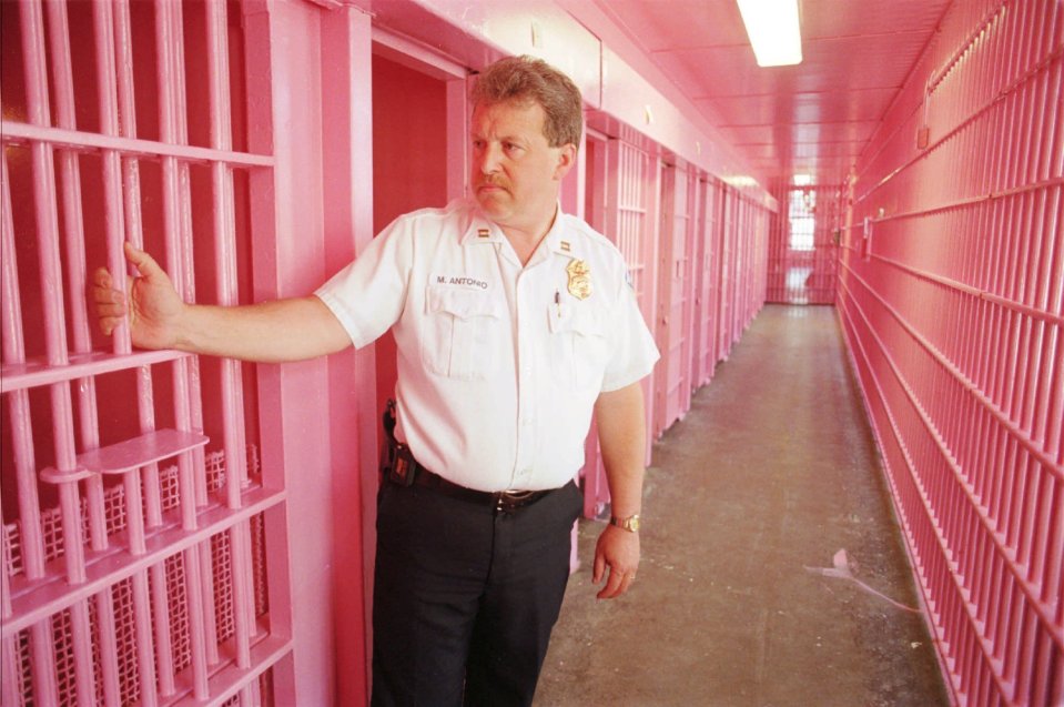 Baker-Miller pink can be found at this prison in Seattle, as well as throughout Barbieland