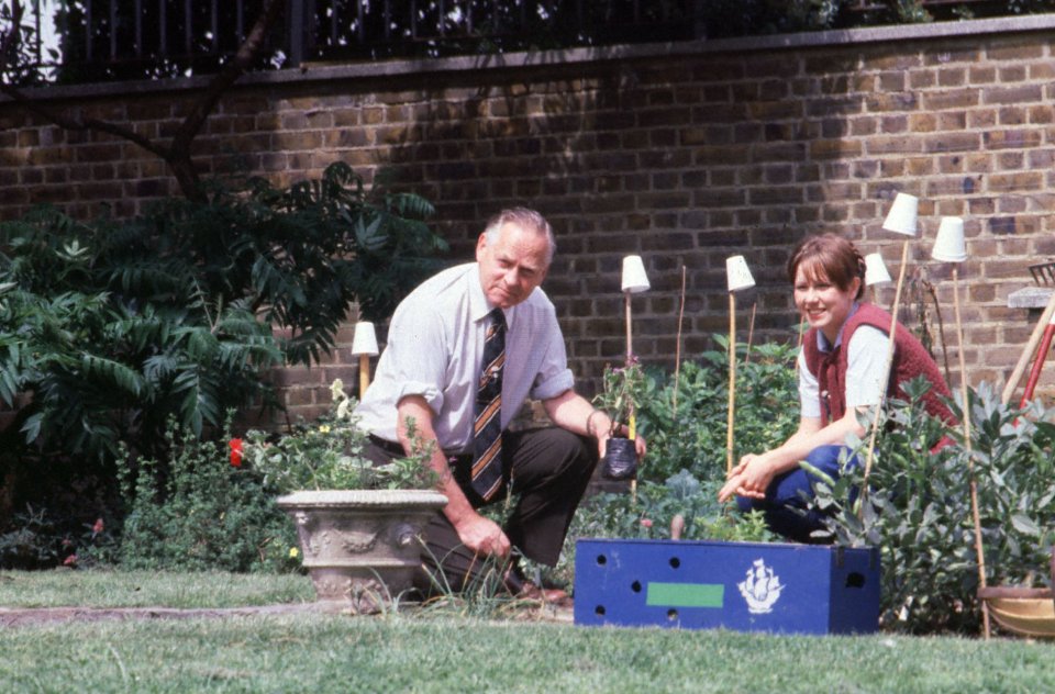 Blue Peter's garden was completely trashed, sparking public outrage