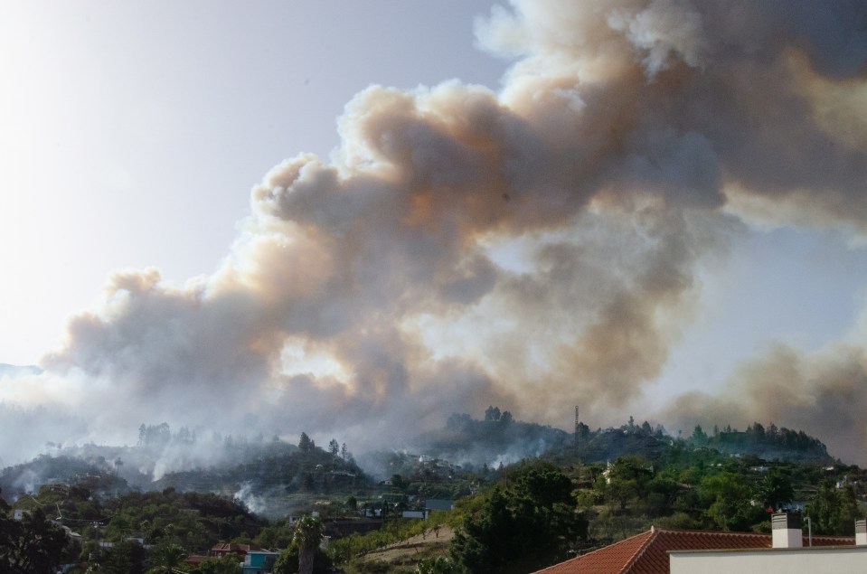 Smoke billows from a forest fire in Punta Gorda, La Palma