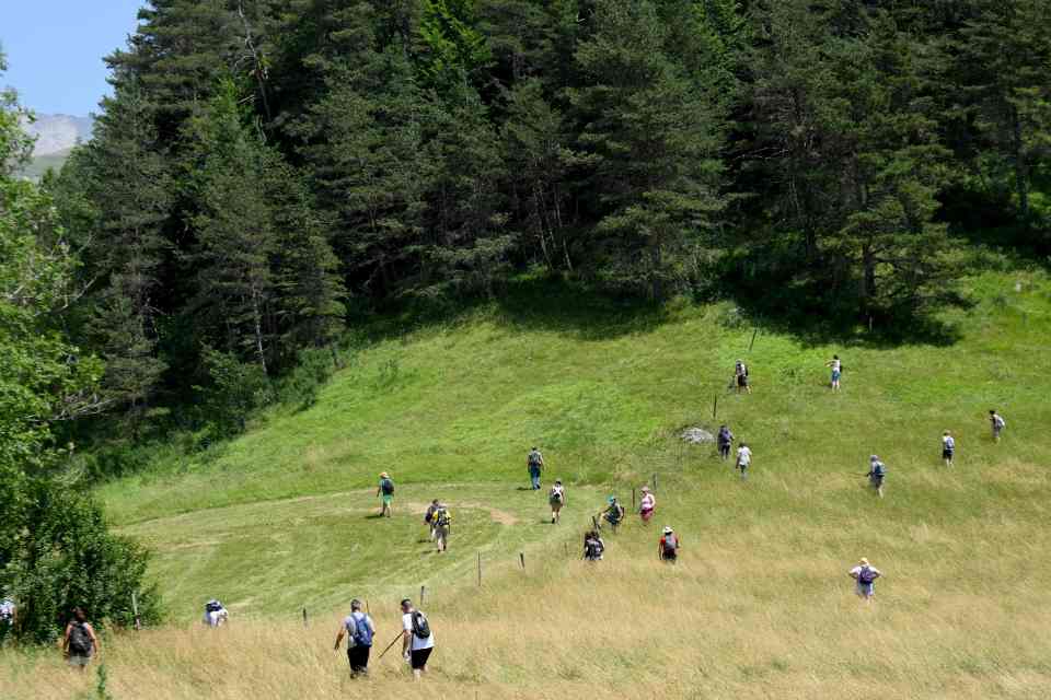 Volunteers spent days searching for the tot in the Alpes-de-Haute-Provence