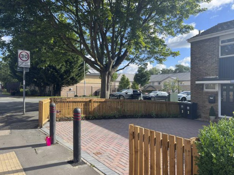 The bollards were erected so cars wouldn't drive over the crossing