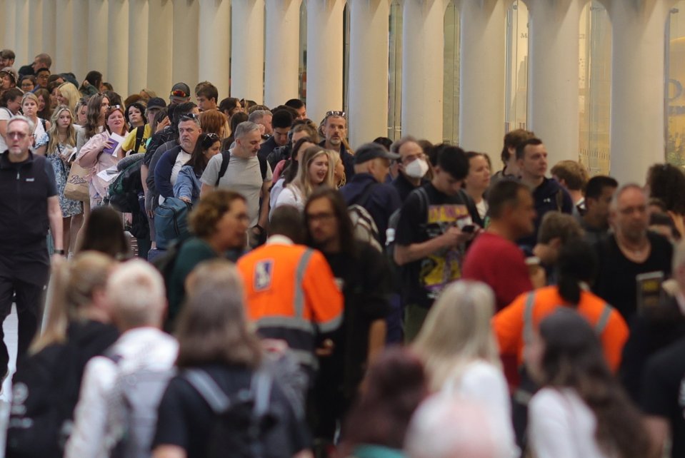 Travellers were met with queues at St Pancras Station's Eurostar terminal