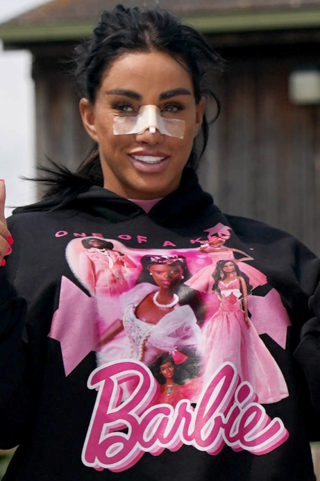 Katie Price has been mum-shamed by fans