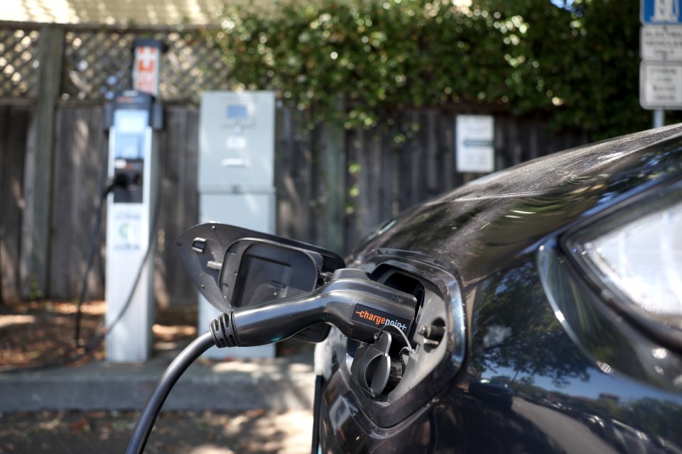 Lizzie says she also became frustrated with the number of apps she had to use to access the charge points (file photo)